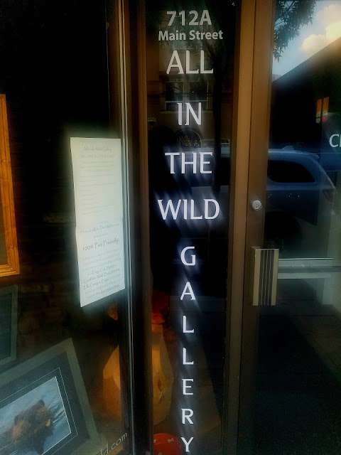 All In The Wild Gallery
